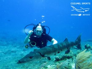 Cozumel Sporis